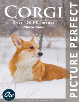 Paperback Corgi: Picture Perfect Photo Book