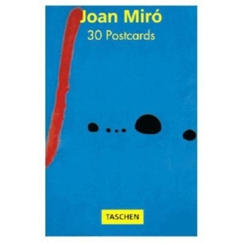 Paperback Miro Book