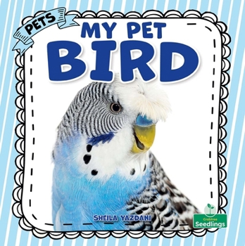 My Pet Bird (Pets)