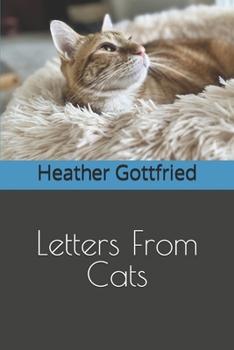 Paperback Letters From Cats Book
