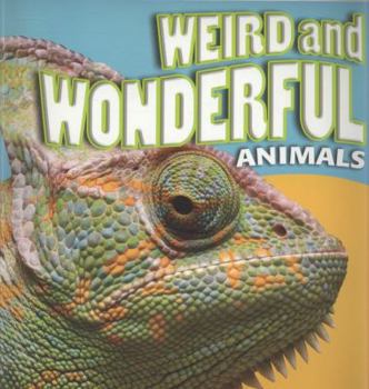 Paperback Weird and Wonderful Animals. Brenda Clarke ... [Et Al.] Book