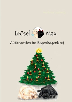 Paperback Brösel & Max: Weihnachten im Regenbogenland [German] Book