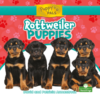Library Binding Rottweiler Puppies Book