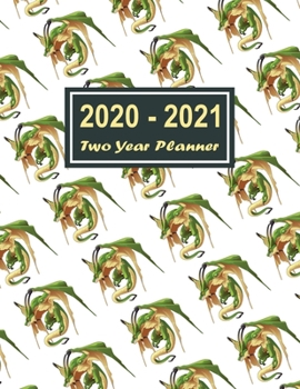 Paperback 2020-2021 Two Year Planner: Green Dragon Two Year Planner, Two Year Calendar 2020-2021, Daily Monthly Planner 2020 Size 8.5 x 11 Inch, Business Pl Book