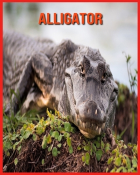 Paperback Alligator: Incredible Pictures and Fun Facts about Alligator Book