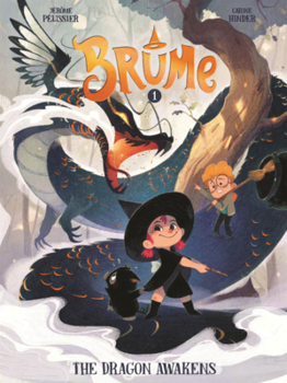 Library Binding Dragon Awakens Book