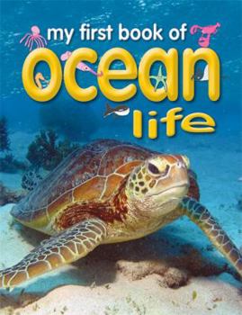 Paperback My First Book of Ocean Life Book