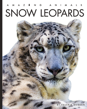 Paperback Snow Leopards Book
