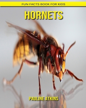 Hornets: Fun Facts Book for Kids