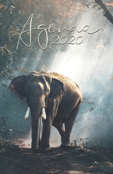 Agenda 2020: 12 mois de Janvier à Décembre 2020 | Planificateur, organisateur, semainier | Photo d'éléphant (French Edition)