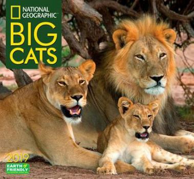 Calendar National Geographic Big Cats 2019 Calendar Book