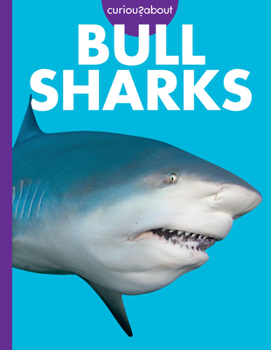 Paperback Curious about Bull Sharks Book