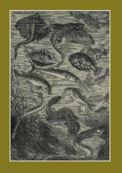Carnet Ligné. Vingt Mille Lieues Sous Les Mers, Jules Verne, 1871. Les Poulpes