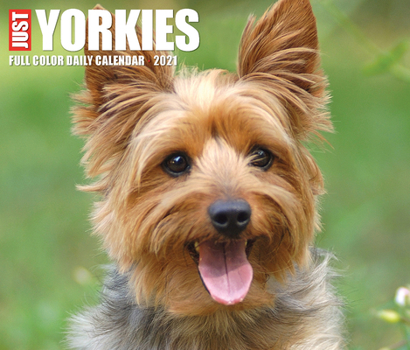 Calendar Just Yorkies 2021 Box Calendar (Dog Breed Calendar) Book
