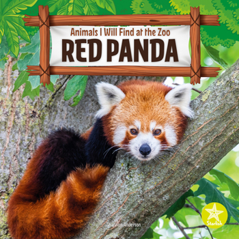 Paperback Red Panda Book