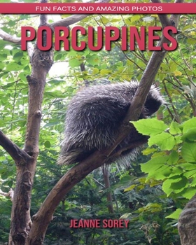 Porcupines: Fun Facts and Amazing Photos