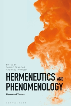 Paperback Hermeneutics and Phenomenology: Figures and Themes Book