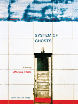 Paperback System of Ghosts Book