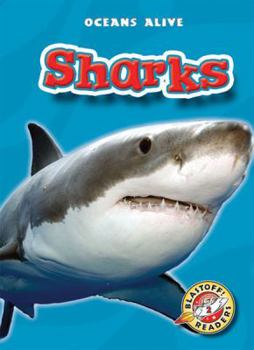 Library Binding Sharks Book