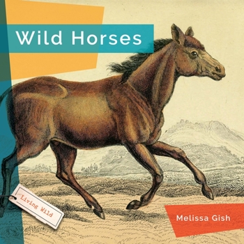 Hardcover Wild Horses Book