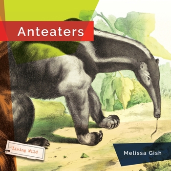 Paperback Anteaters Book