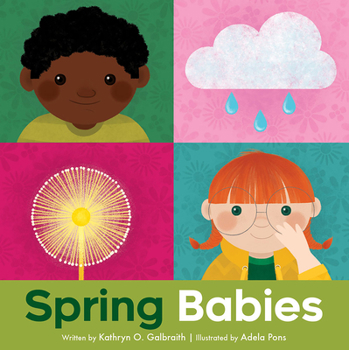 Board book Spring Babies Book