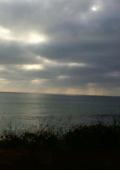 Paperback Producciones del Espectaculo: Updated [Spanish] Book