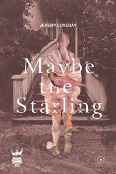 Paperback Remember the Starling Book