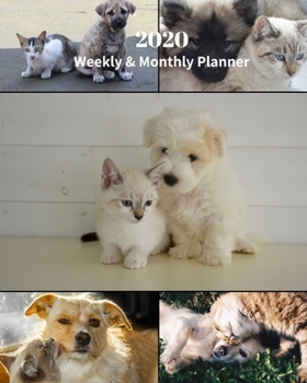 Paperback 2020 Weekly and Monthly Planner: Cats and Dogs Collage - Monthly Calendar with U.S./UK/ Canadian/Christian/Jewish/Muslim Holidays- Calendar in Review/ Book