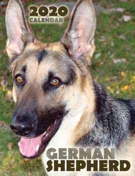 Paperback German Shepherd 2020 Calendar Book