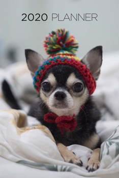 Planner: 2020 diary: Increase productivity, improve time management, reach your goals: Chihuahua in hat: Modern artistic photography style cover design