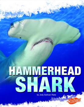 Hardcover Hammerhead Shark Book