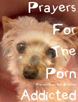 Paperback Prayers For The Porn Addicted Book
