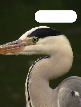 Hardcover Birds: Birds Notebook Book