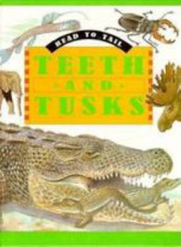 Hardcover Teeth and Tusks Book