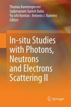 Hardcover In-Situ Studies with Photons, Neutrons and Electrons Scattering II Book