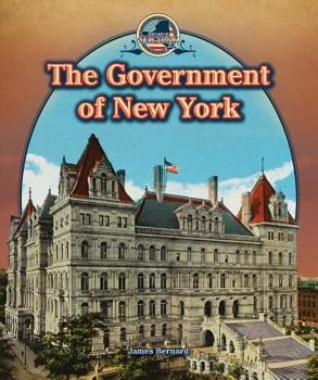 Paperback The Government of New York Book