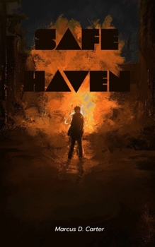 Paperback Safe Haven Book