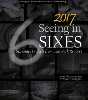 Paperback 2017 Seeing in Sixes Book