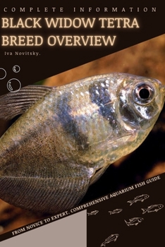 Black Widow Tetra: From Novice to Expert. Comprehensive Aquarium Fish Guide