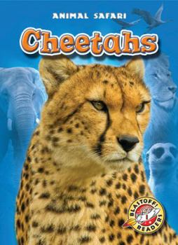 Cheetahs - Book  of the Animal Safari