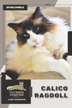 Calico Ragdoll: Cat breed overview, care handbook