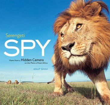 Hardcover Serengeti Spy: Views from a Hidden Camera on the Plains of East Africa Book