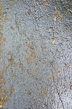 2020 Weekly Planner Wet Driveway Surface 134 Pages: 2020 Planners Calendars Organizers Datebooks Appointment Books Agendas