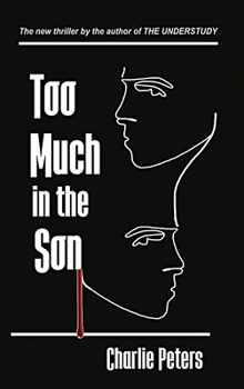 Hardcover Too Much in the Son Book