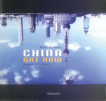 Paperback China Art Now Book