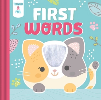 Board book Touch & Feel First Words Book