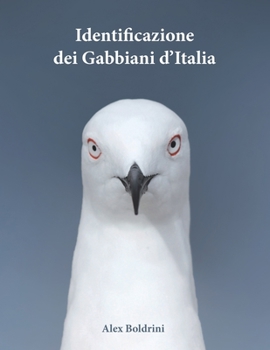 Paperback Identificazione dei Gabbiani d'Italia [Italian] Book