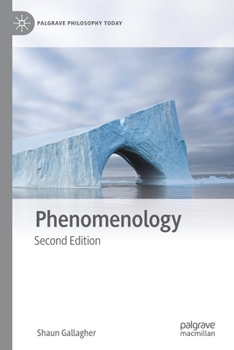 Paperback Phenomenology Book