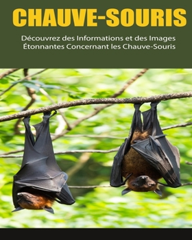 Paperback Chauve-Souris: Découvrez des Informations et des Images Étonnantes Concernant les Chauve-Souris [French] [Large Print] Book